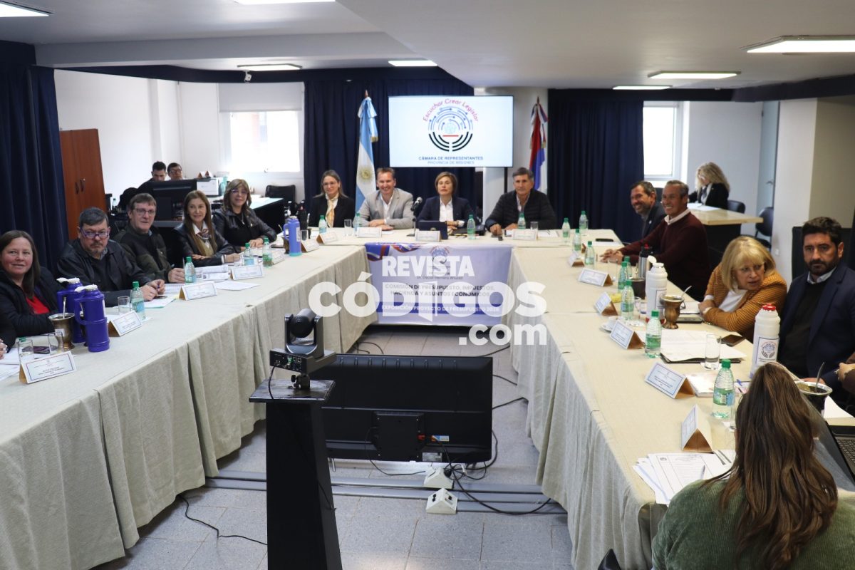 La Cámara de Representantes inició el tratamiento del Presupuesto Provincial 2026