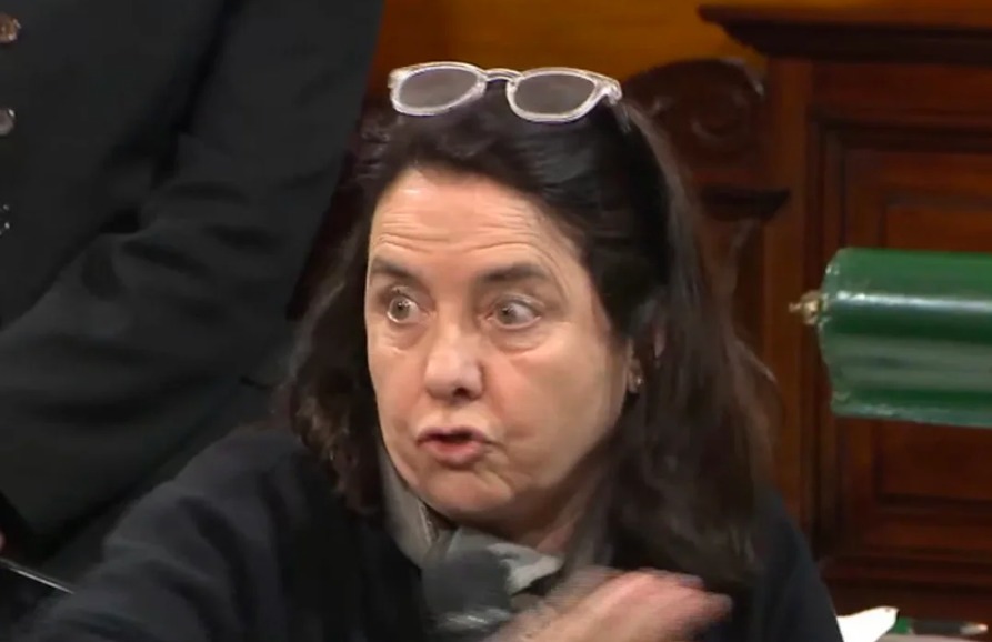 senadora