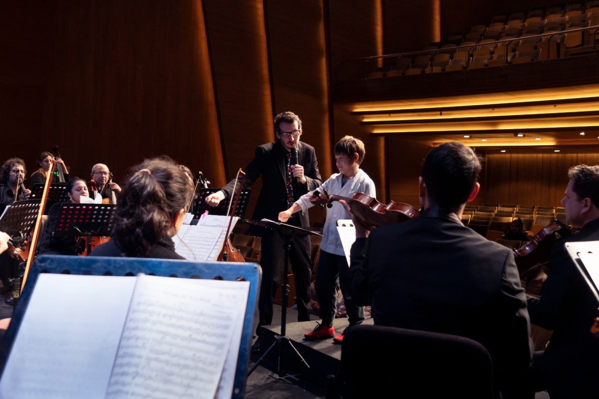 La Orquesta de Cámara brindará un nuevo concierto en el Teatro Lírico