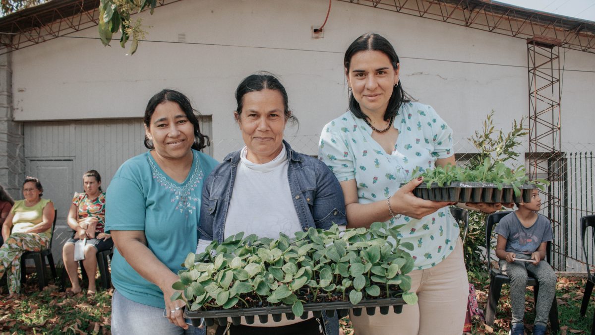 Entrega plantines horticolas bioinsumos 3 - 3