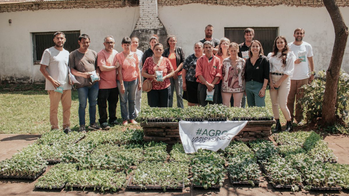 Entrega plantines horticolas bioinsumos 4 - 5