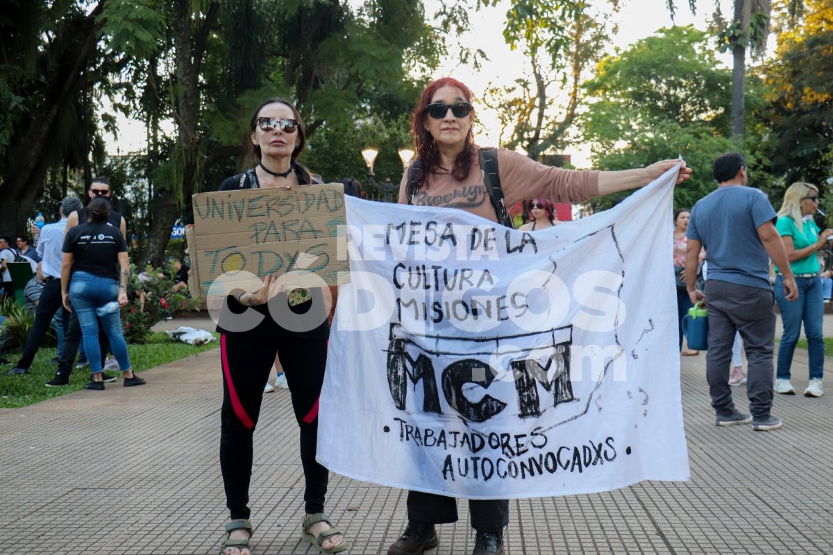 Misiones marchó en defensa de la educación pública 11 22 - Misiones marcho en defensa de la educacion publica 4 - 21