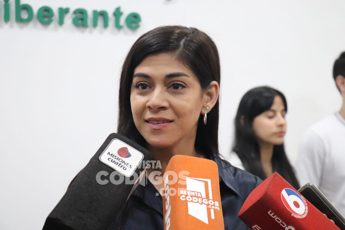 Posadas aprobó el Programa de Plazas y Balnearios Accesibles para generar mayor inclusión