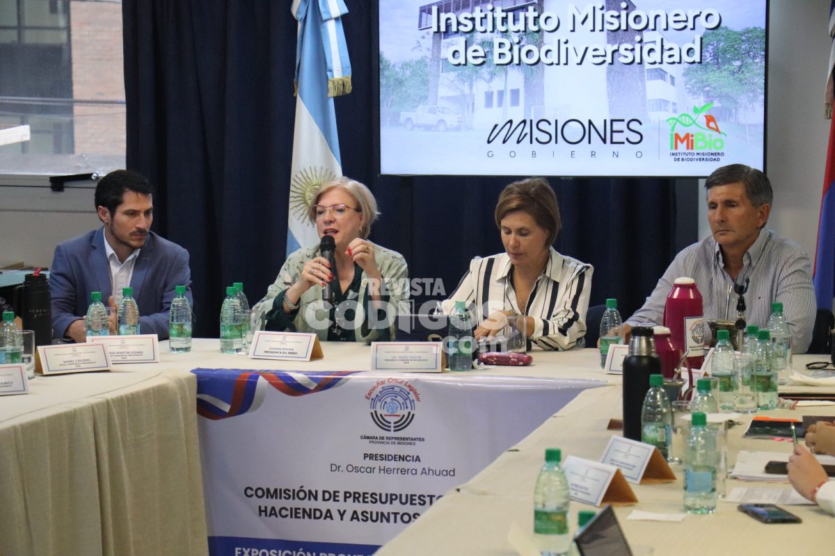 Presupuesto 2026: el IMiBio proyecta repoblación de yaguaretés y plantación de 100 mil árboles