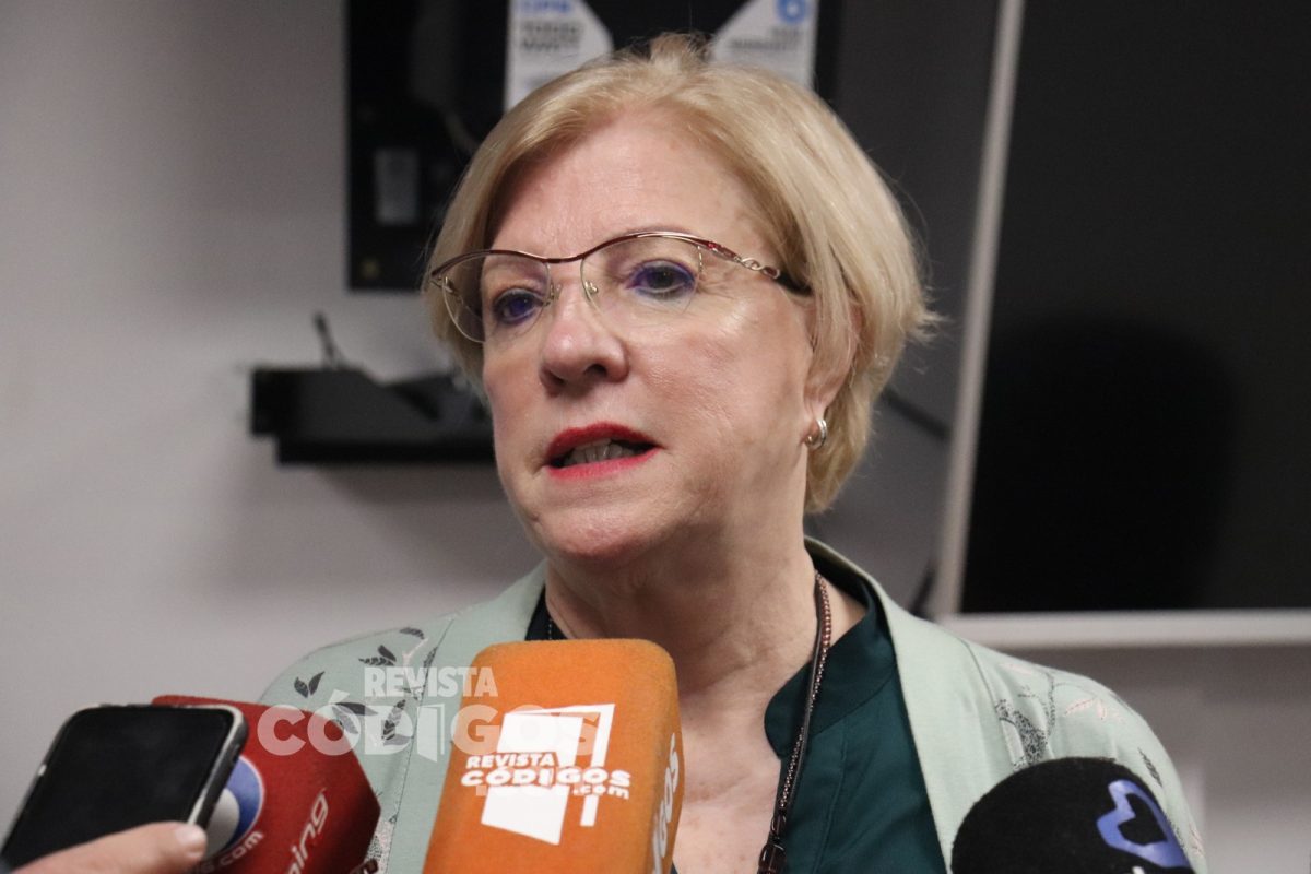 Presupuesto 2026: el IMiBio proyecta repoblación de yaguaretés y plantación de 100 mil árboles 1 2 - Presupuesto 2026 el IMiBio proyecta repoblacion de yaguaretes y plantacion de 100 mil arboles 2 - 1