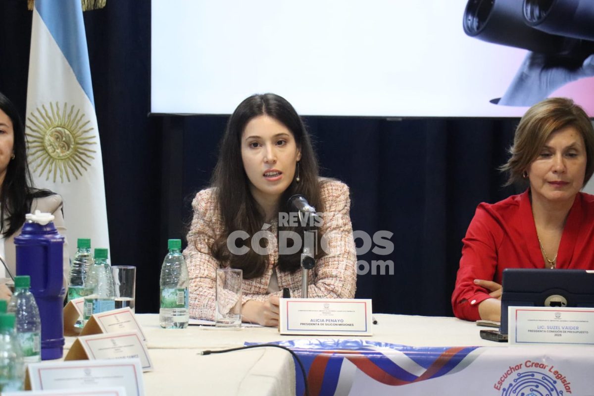 Silicon Misiones proyecta autonomía financiera y expansión internacional con el Presupuesto 2026 1 2 - alicia penayo 2 - 1