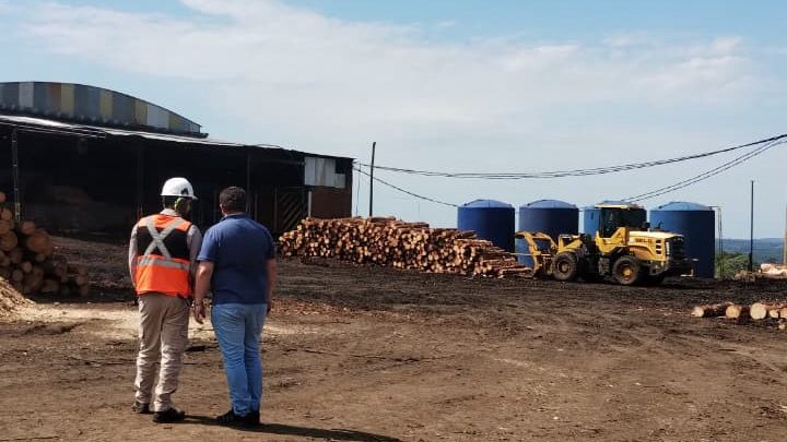 ecología inspección (3)