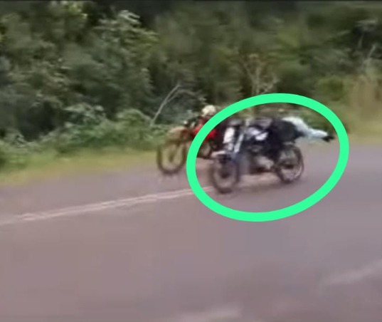 panambí (1)
