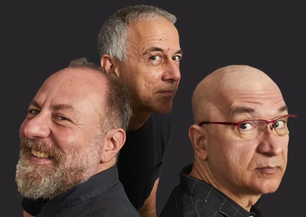 paralamas