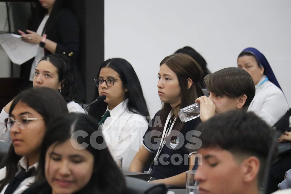 parlamento estudiantil 17 - 9