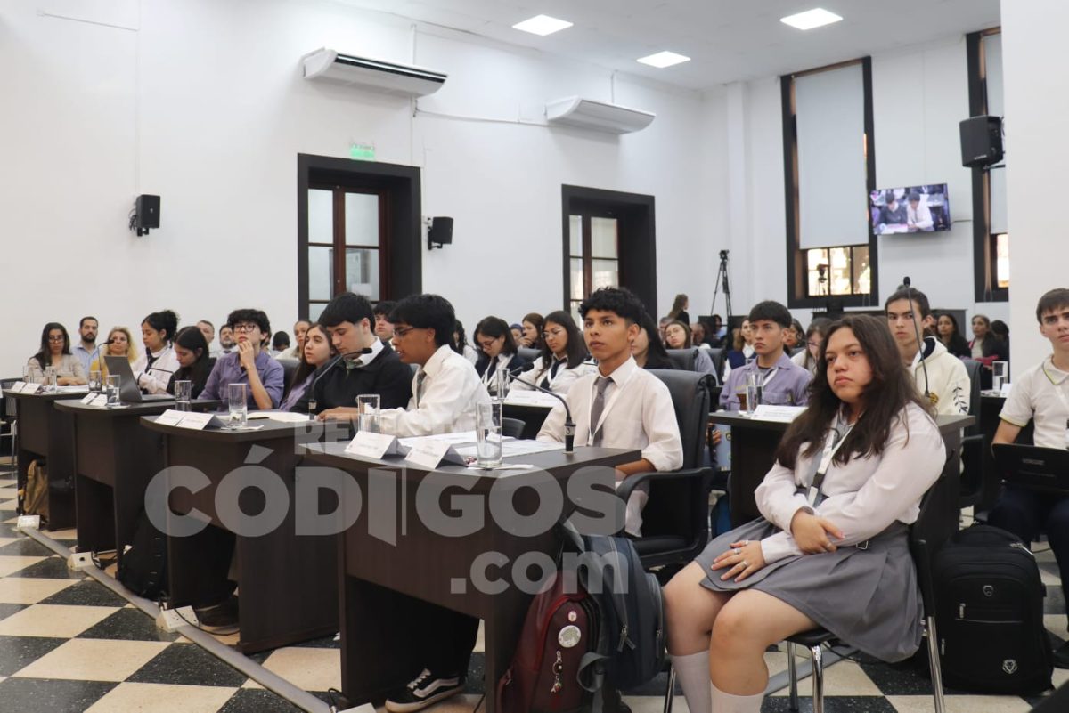 parlamento estudiantil 19 - 13