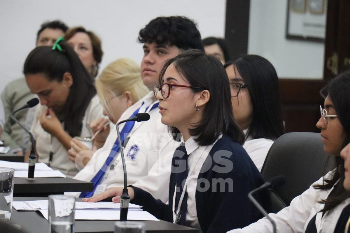 parlamento estudiantil 20 - 15