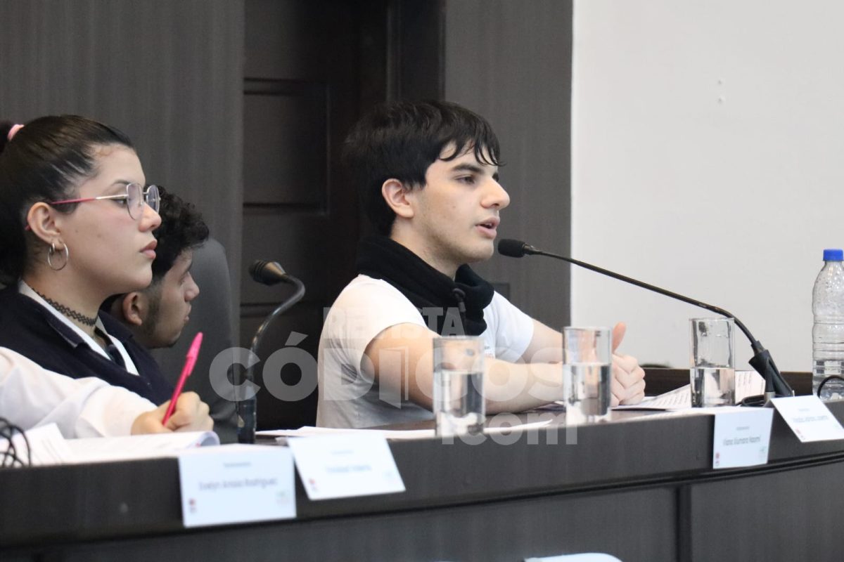 parlamento estudiantil 21 - 17