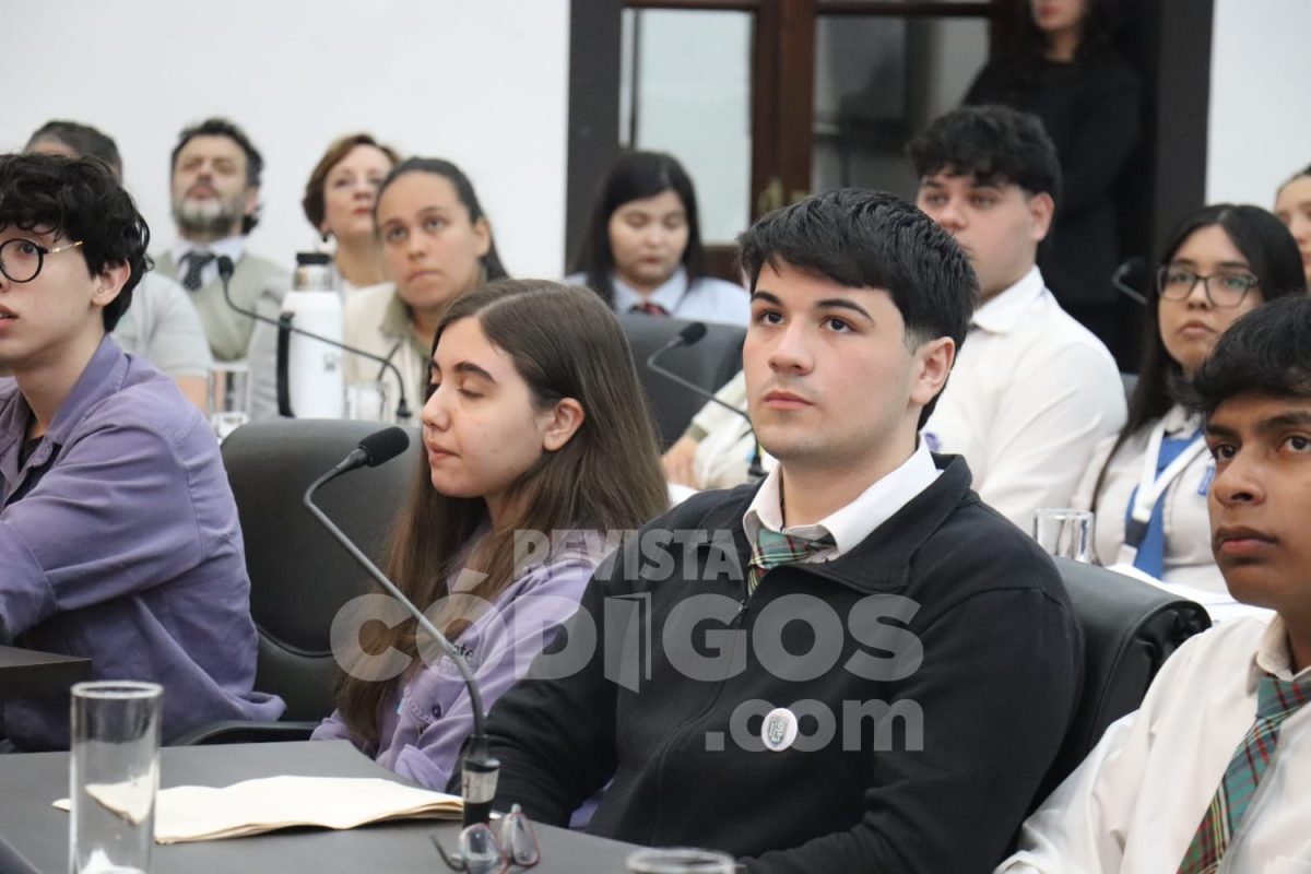 parlamento estudiantil 26 - 27