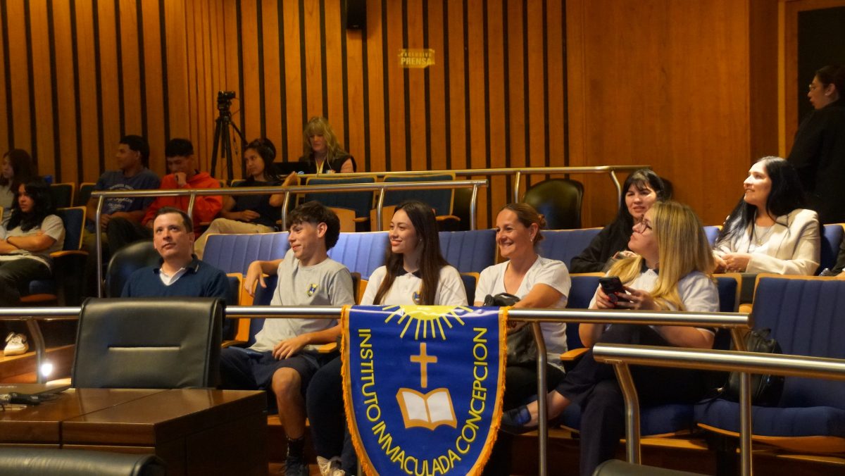 parlamento estudiantil 9 - 15