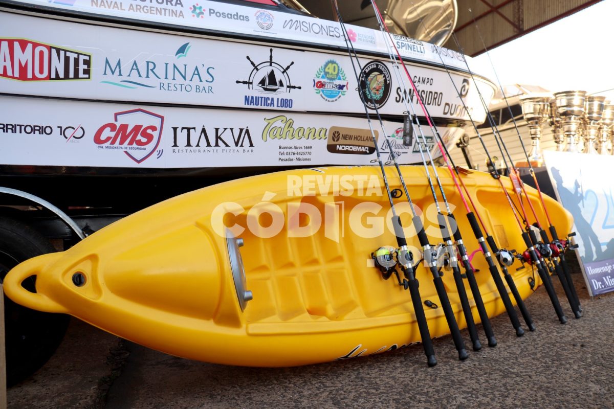 pira pyta 11 - 15