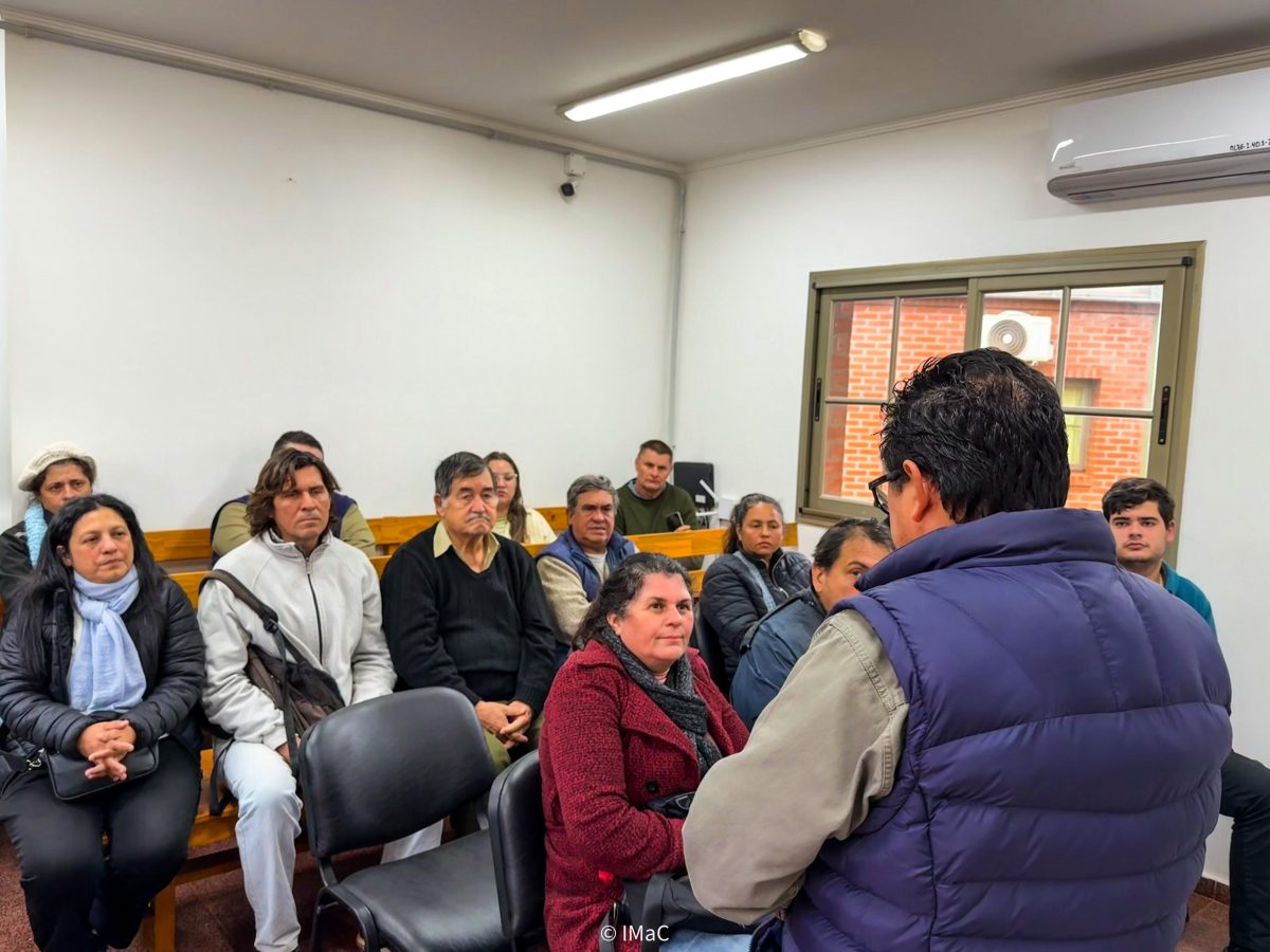 El IMaC impulsa la creación de una cuenca productiva de cúrcuma y jengibre en el Norte misionero 3 6 - Cursos 1 - 5