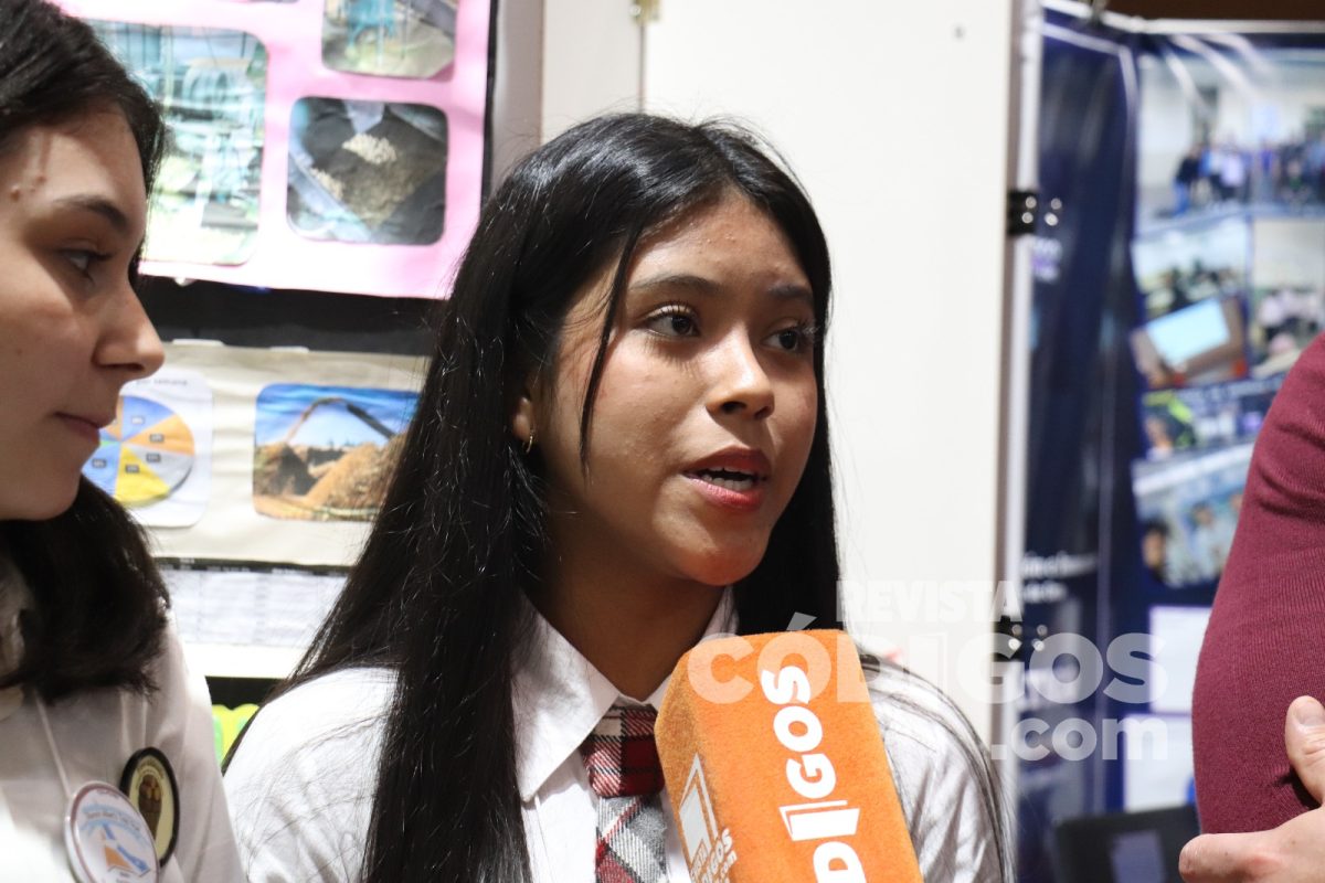 Finalizo la fase de Matematica de la Feria Nacional de Educacion en Misiones y continua con Arte 5 - 15