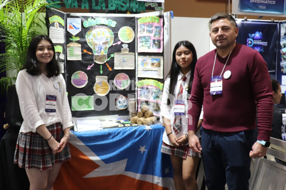 Finalizo la fase de Matematica de la Feria Nacional de Educacion en Misiones y continua con Arte 7 - 19
