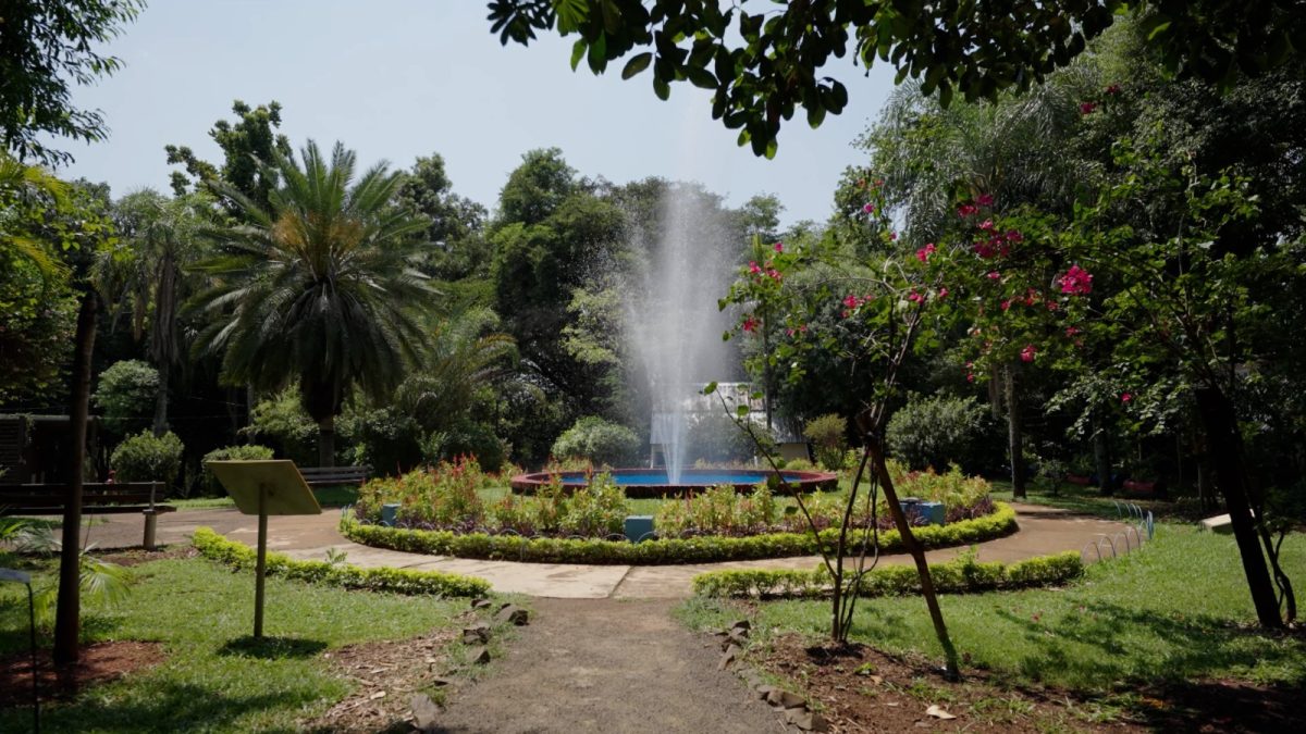 Impulsan el Plan de Gestión Ambiental y Turístico del Jardín Botánico de Posadas 1 2 - IMG 20251010 WA0040 - 1