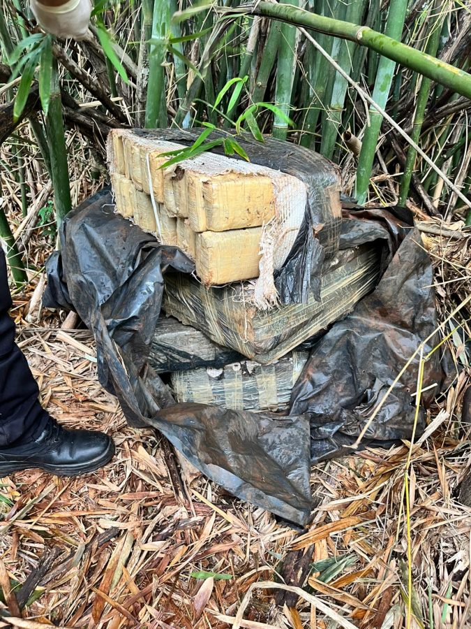Incautaron marihuana valuada em más de $33 millones en Jardín América 1 2 - Incautaron marihuana valuada em mas de 33 millones en Jardin America 4 - 1