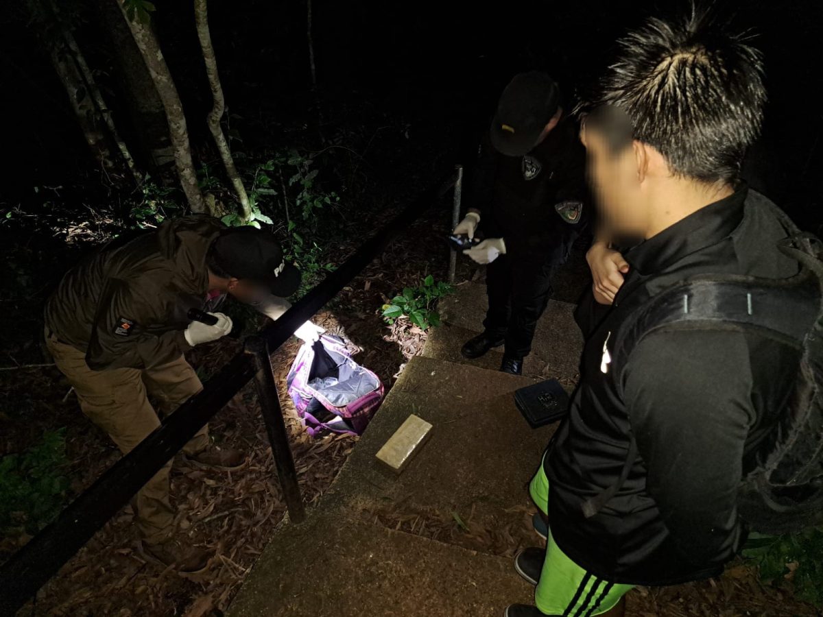 Intervienen en la distribucion de cocaina y marihuana en tres localidades de Misiones 2 - 7