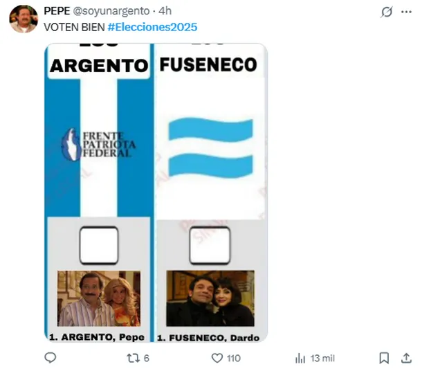 Los mejores memes que dejo una nueva jornada electoral en la Argentina 2 - 19