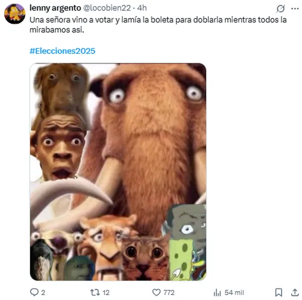 Los mejores memes que dejo una nueva jornada electoral en la Argentina 5 - 13
