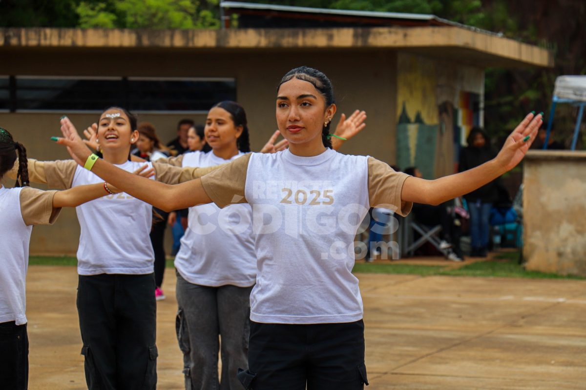 Mirá la galería de fotos de la última prueba piloto de la Estudiantina de Posadas 26 52 - Mira la galeria de fotos de la ultima prueba piloto de la Estudiantina de Posadas 16 - 51