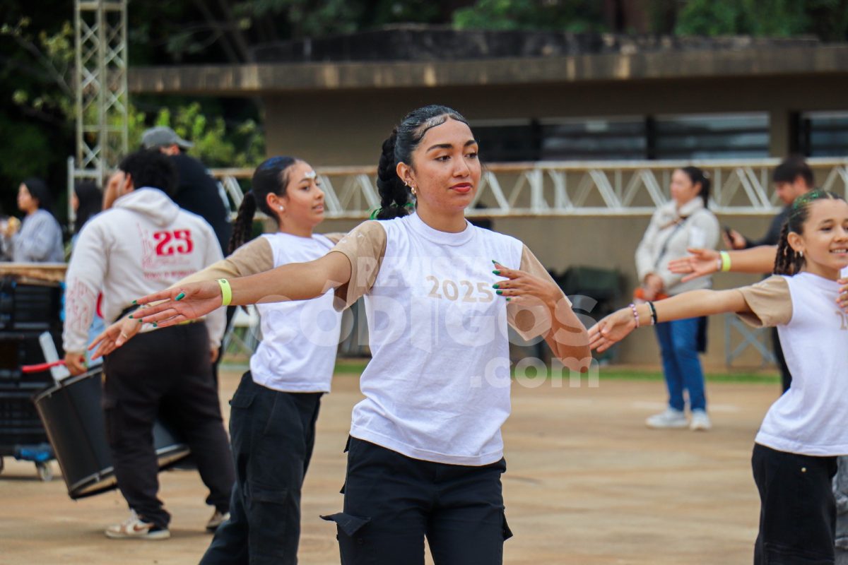 Mirá la galería de fotos de la última prueba piloto de la Estudiantina de Posadas 32 64 - Mira la galeria de fotos de la ultima prueba piloto de la Estudiantina de Posadas 21 - 63
