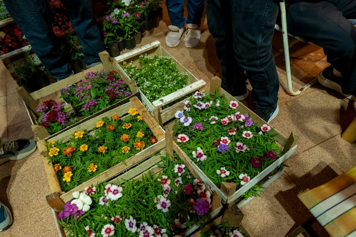 Passalacqua destaco la floricultura como nucleo economico y turistico en Misiones 2 - 11