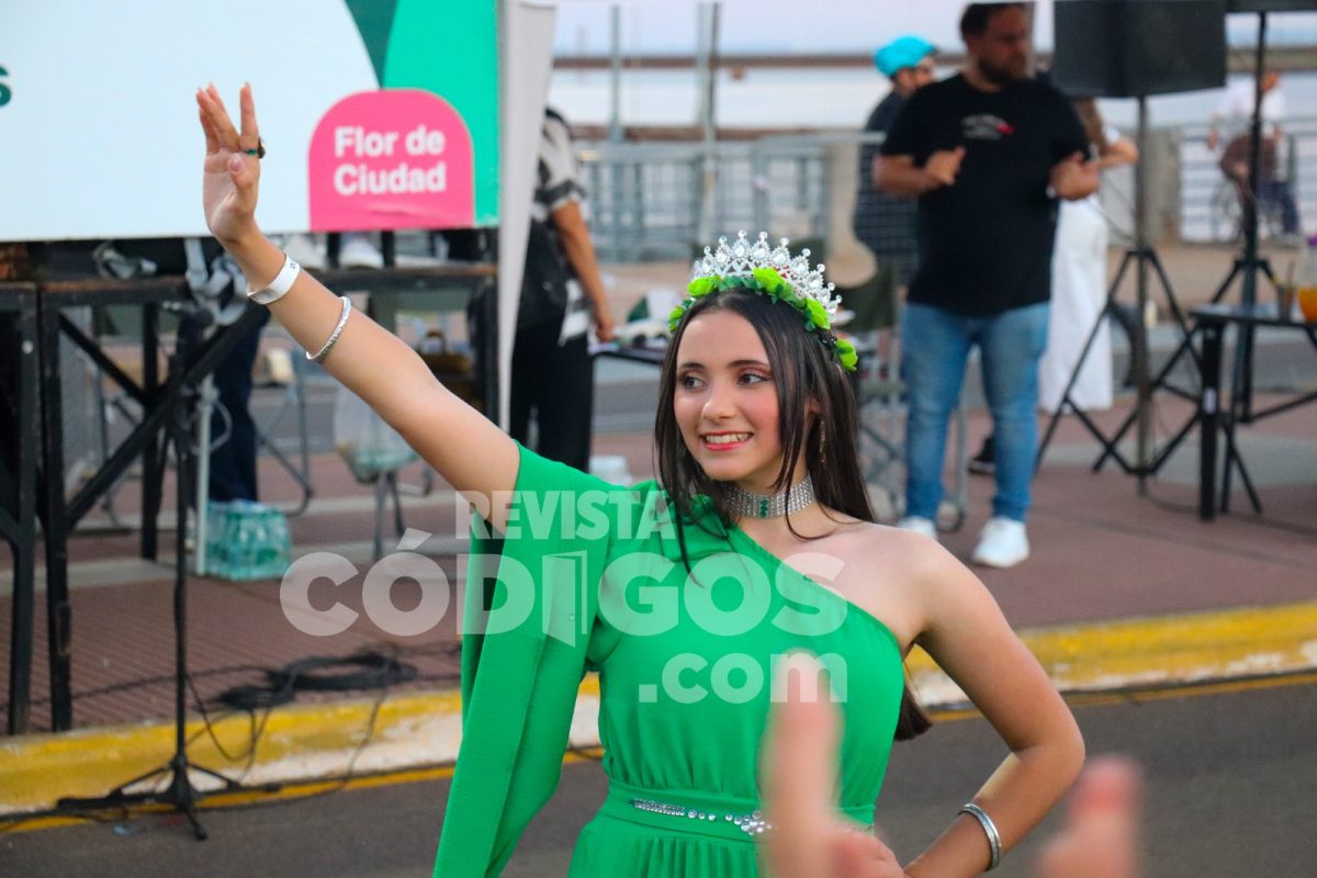 Posadas vive la tercera noche de la Estudiantina 2025 13 26 - Posadas vive la tercera noche de la Estudiantina 2025 1 - 25
