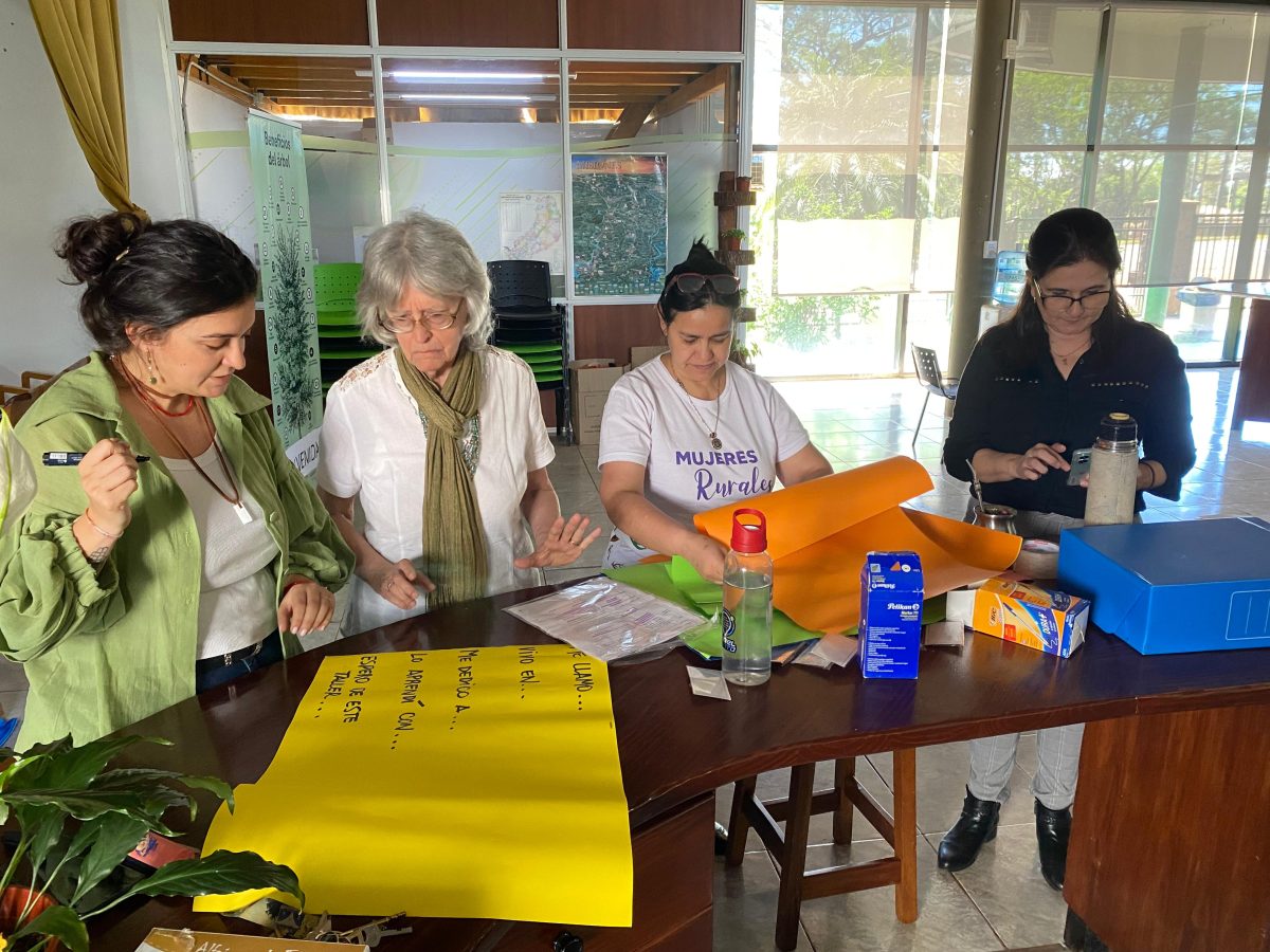Productores misioneros avanzan hacia una agricultura mas amigable con el ambiente 3 - 1