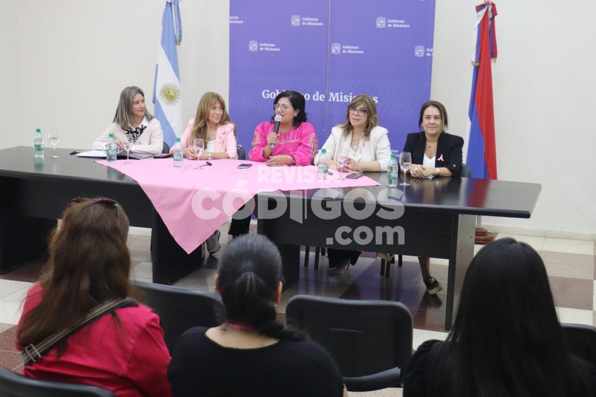 Realizaran una jornada gratuita sobre la prevencion del cancer de mama por el Mes Rosa en Posadas 3 - 1