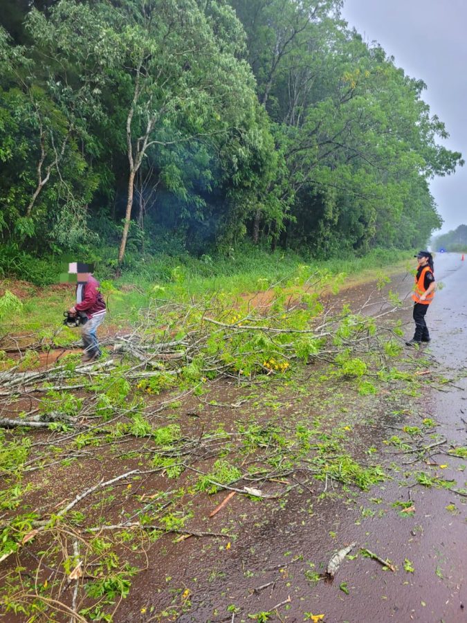 Temporal causo danos en una escuela rural y caida de arboles sobre la Ruta Provincial 211 3 - 9
