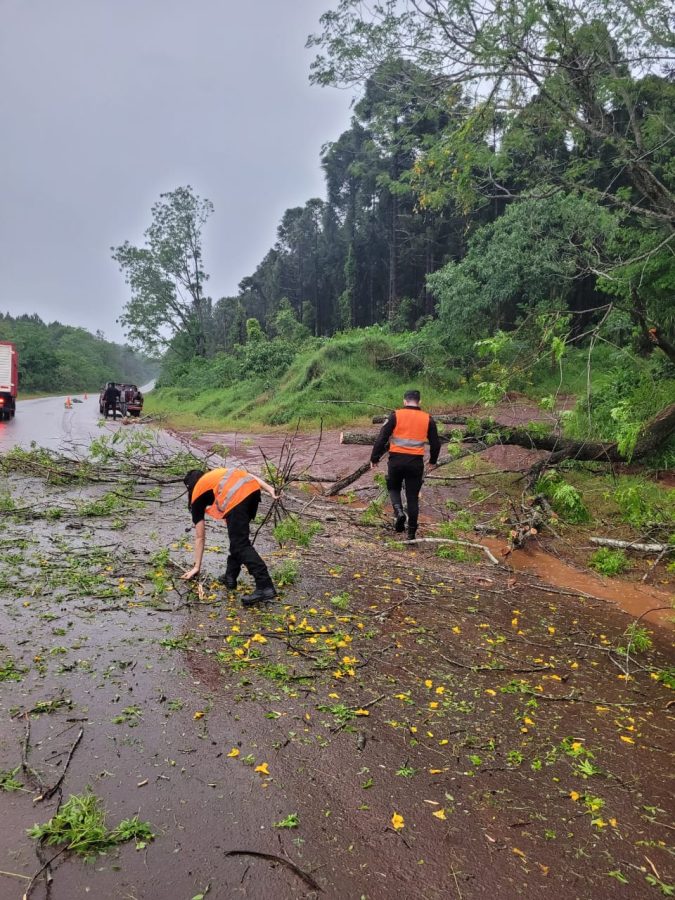 Temporal causo danos en una escuela rural y caida de arboles sobre la Ruta Provincial 211 4 - 7