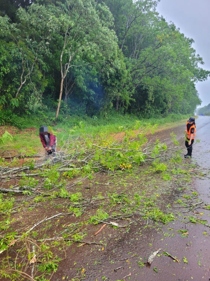 Temporal causo danos en una escuela rural y caida de arboles sobre la Ruta Provincial 211 5 - 5