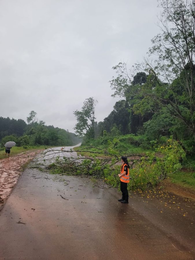 Temporal causo danos en una escuela rural y caida de arboles sobre la Ruta Provincial 211 6 - 3