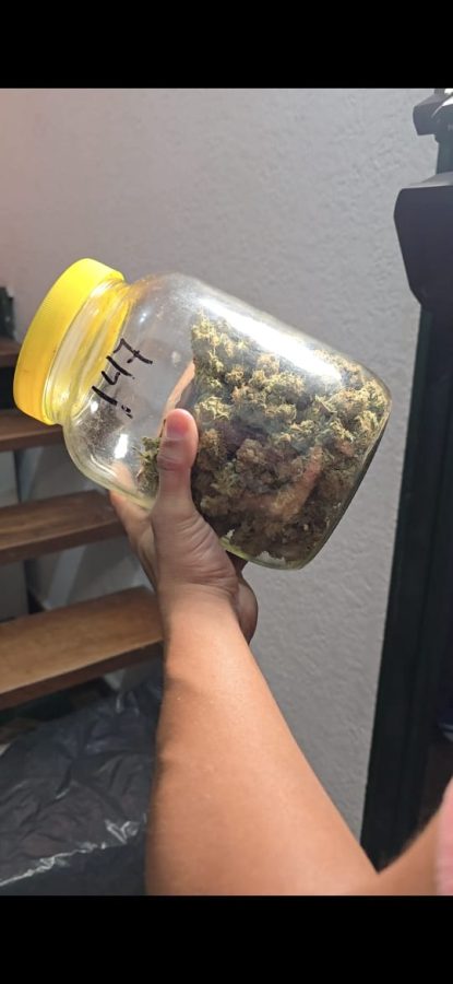Desmantelan un cultivo de marihuana en Posadas: secuestraron más de 100 plantas y equipos valuados en $20 millones 1 2 - WhatsApp Image 2025 10 21 at 08.29.19 - 1