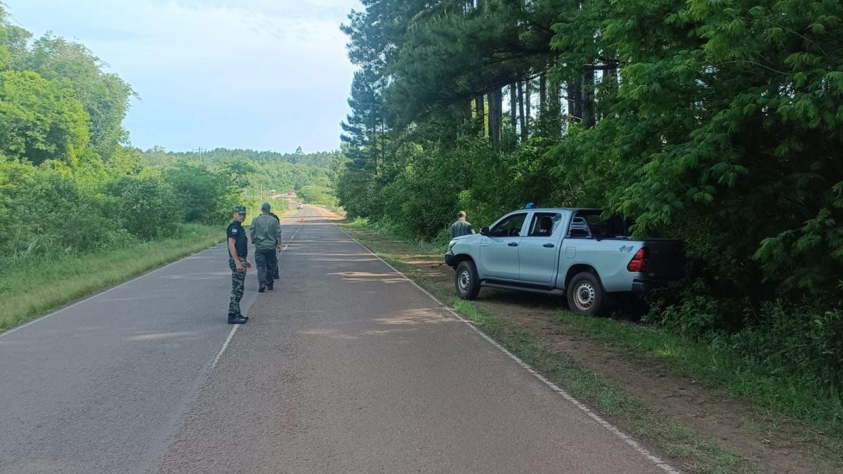 Refuerzan los controles forestales en rutas de Misiones 1 2 - WhatsApp Image 2025 10 25 at 10.37.20 - 1