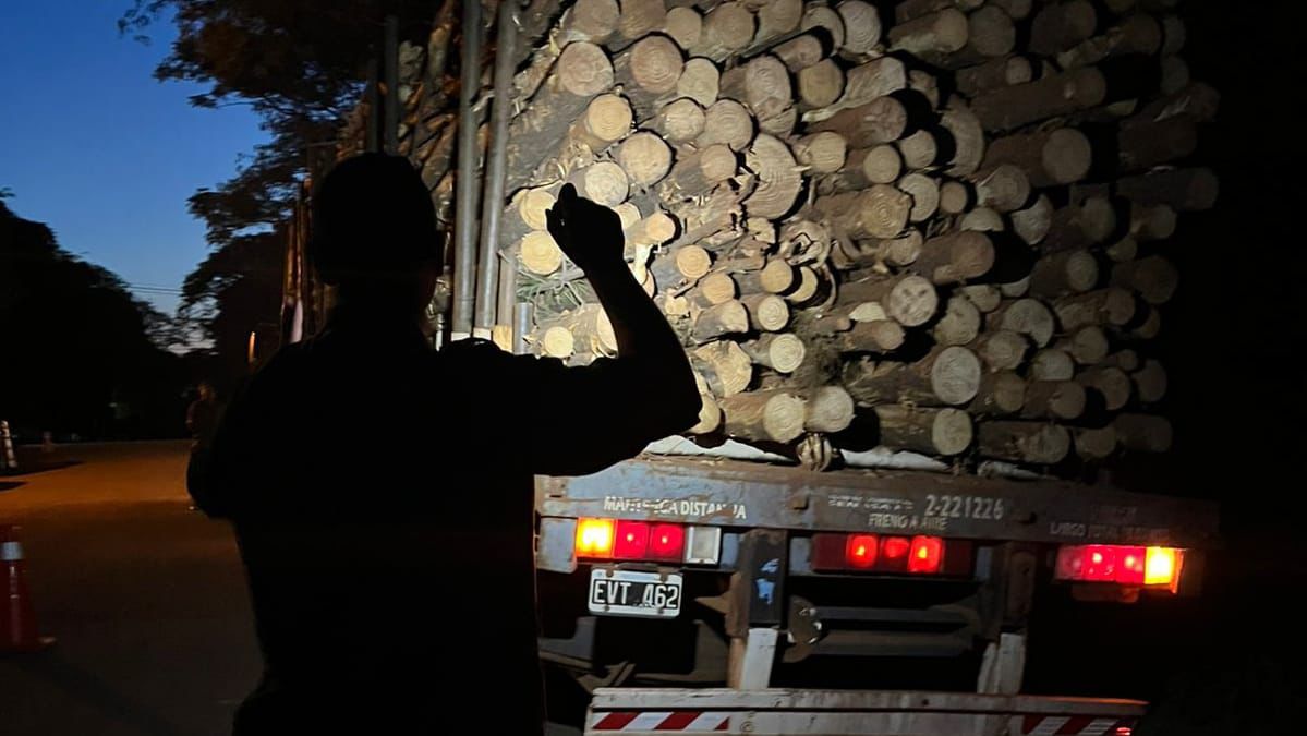 Refuerzan los controles forestales en rutas de Misiones 2 4 - WhatsApp Image 2025 10 25 at 10.37.21 - 3