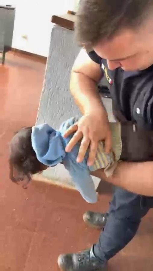 Policías reanimaron a bebé de un año que había dejado de respirar en Oberá 1 2 - WhatsApp Image 2025 10 27 at 21.01.06 1 - 1