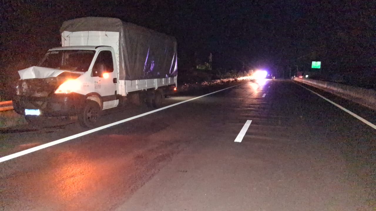 Santa Ana: un camión chocó contra un animal vacuno sobre la Ruta 12 1 2 - choque santa ana 1 - 1