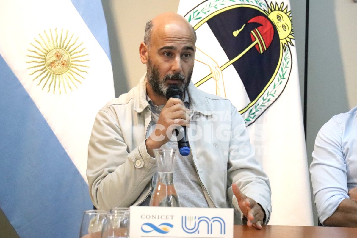 Dengue en Posadas: presentaron un diagnóstico que analiza hábitos y concientización ciudadana 6 12 - dengue posadas 7 - 11