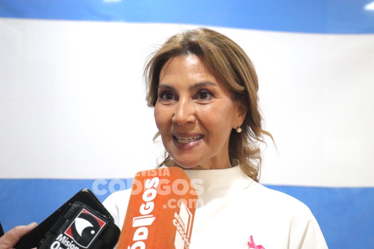 Valeria Fiore Cáceres asumió como ministra del Superior Tribunal de Justicia de Misiones 2 4 - fiore 4 - 3