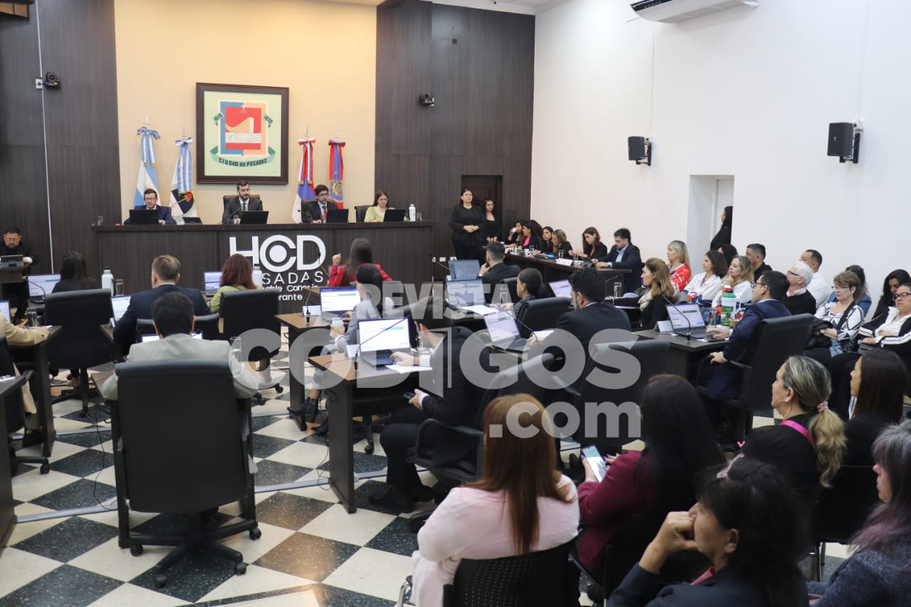 hcd posadas concejo (6)