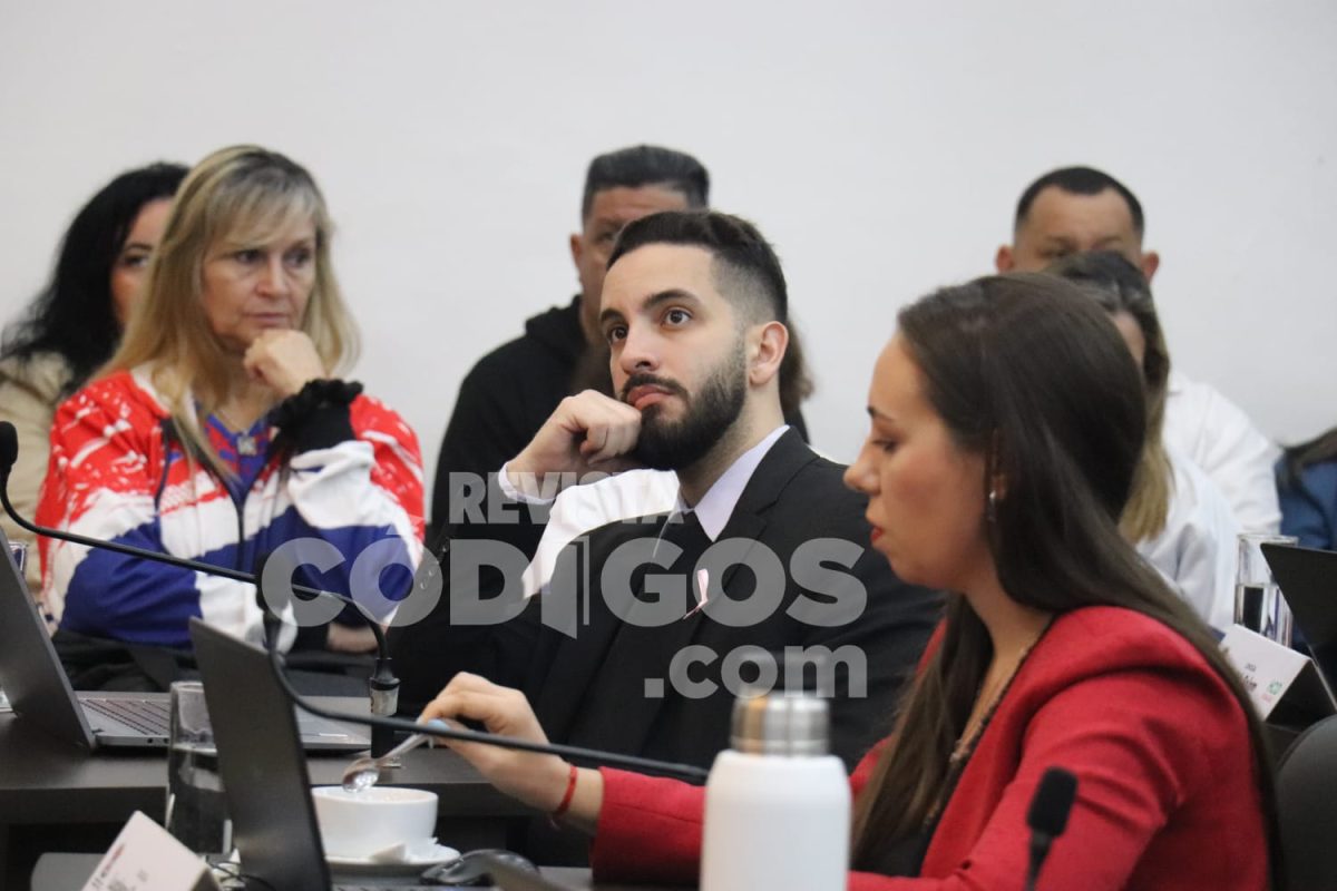 “Los servicios son el reclamo más frecuente de los posadeños”, afirmó nuevo Defensor del Pueblo 1 2 - hcd posadas concejo 7 - 1