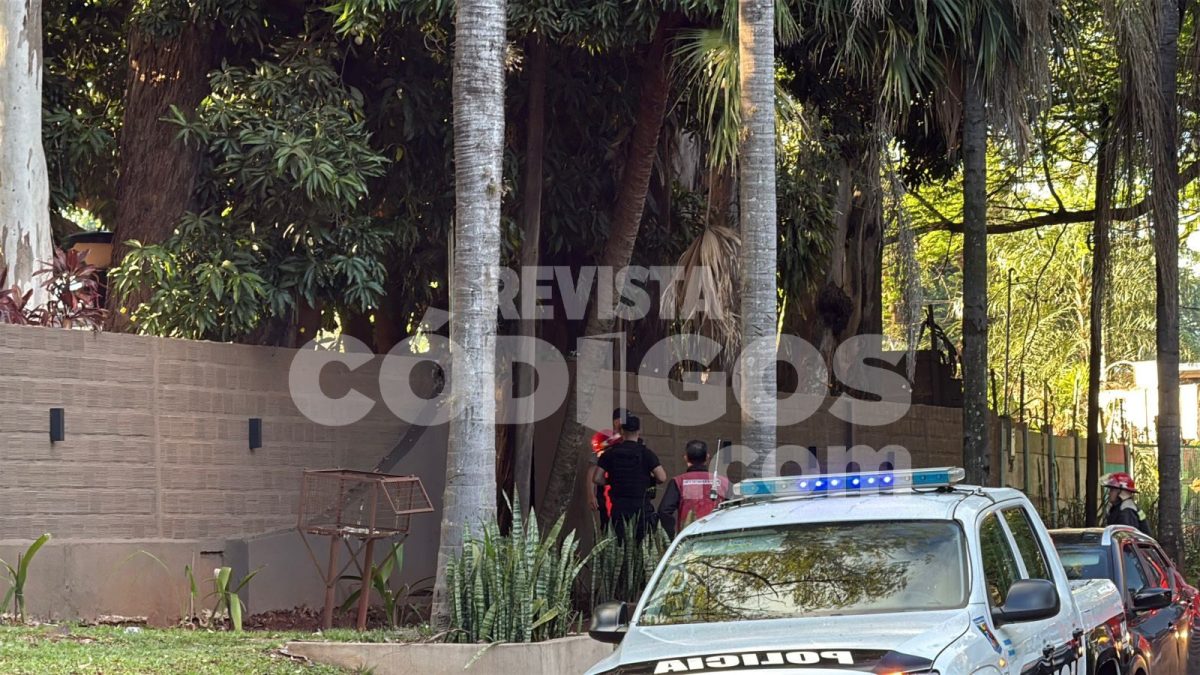 incendio posadas 14 - 25