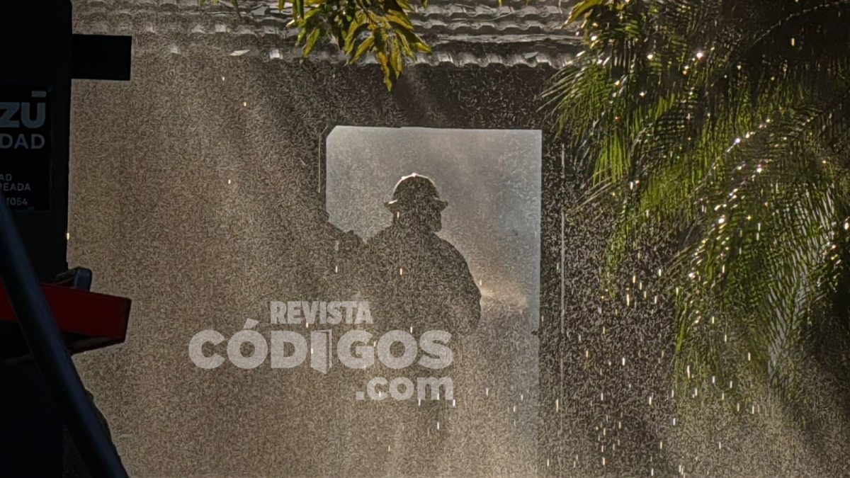 incendio posadas 16 - 29