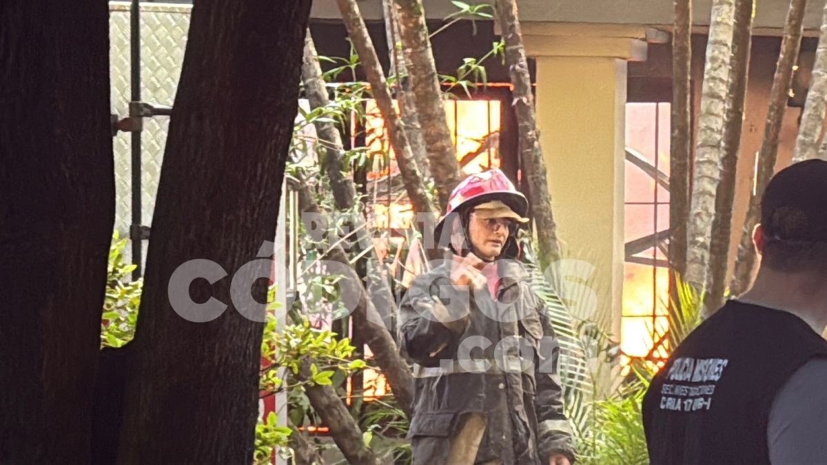 incendio posadas 8 - 13